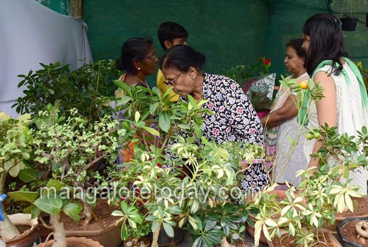 Kadri Park 1